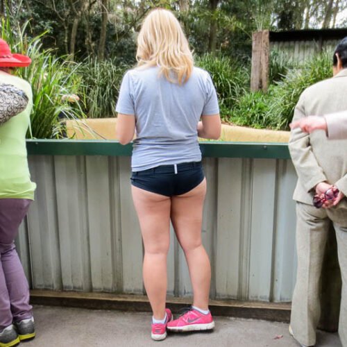 Kim Cums: l'impertinente Koala Park